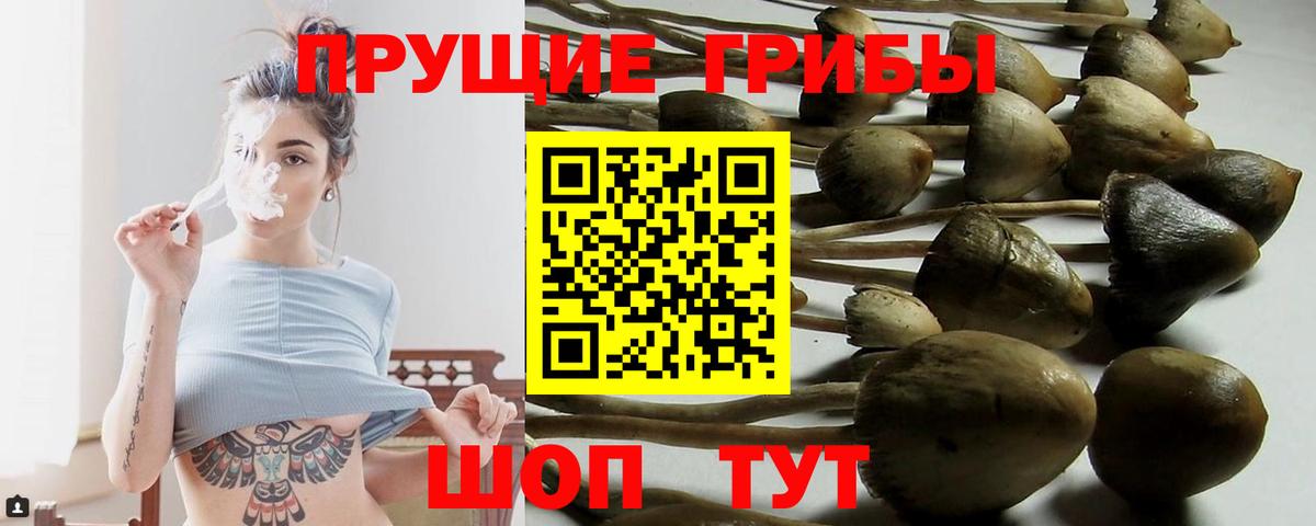Узловая  где купить наркотик  Вход с VPN  Галлюциногенные грибы Psilocybe 