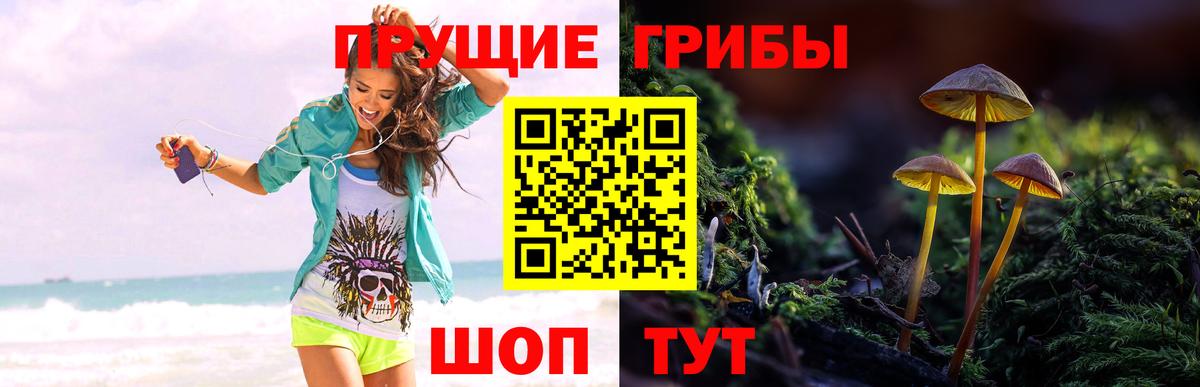 Галлюциногенные грибы мицелий Узловая